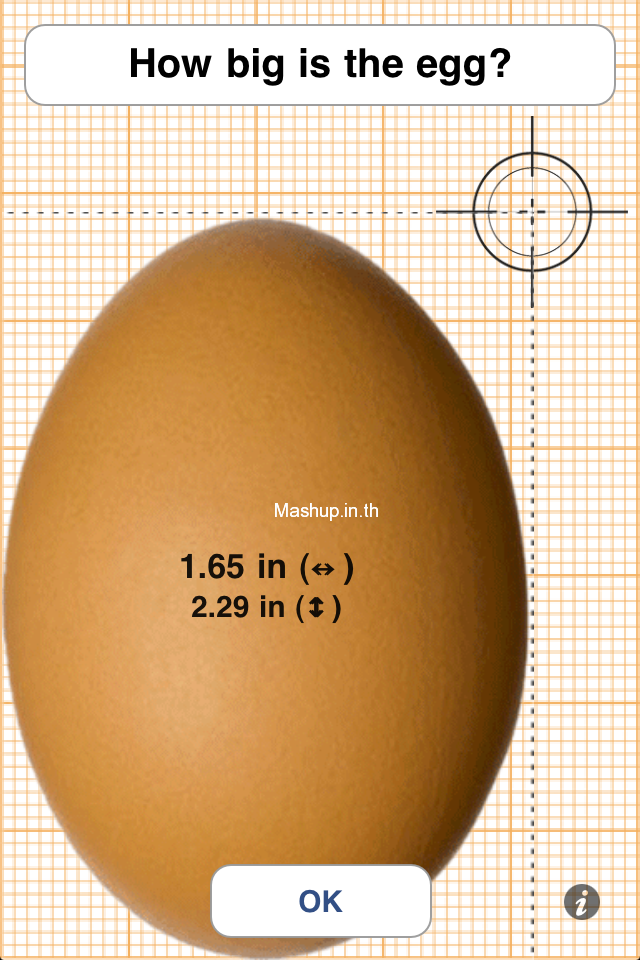 2 วัดขนาดไข่ไก่ด้วยหน้าจอ